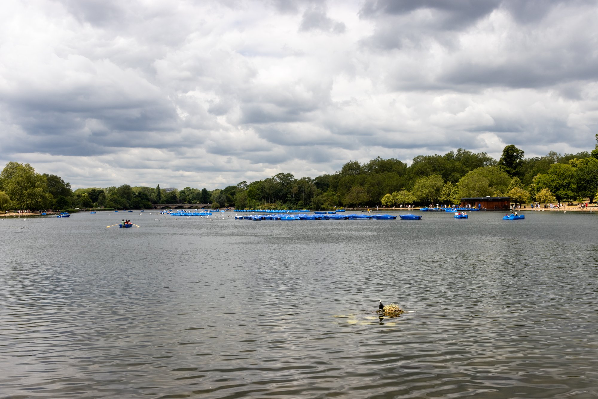 Hyde Park & Kensington Gardens 1/1